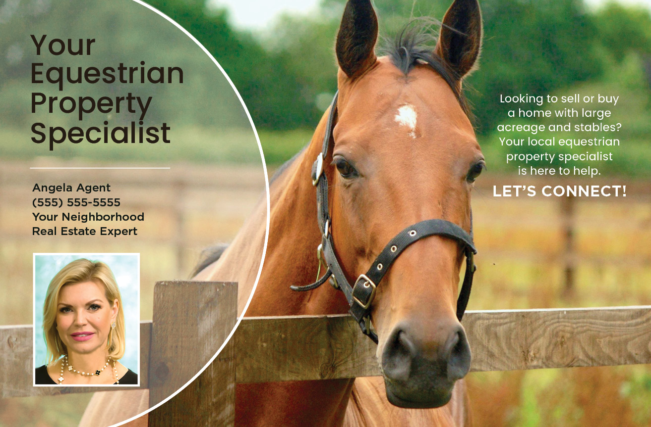 Equestrian Specialist