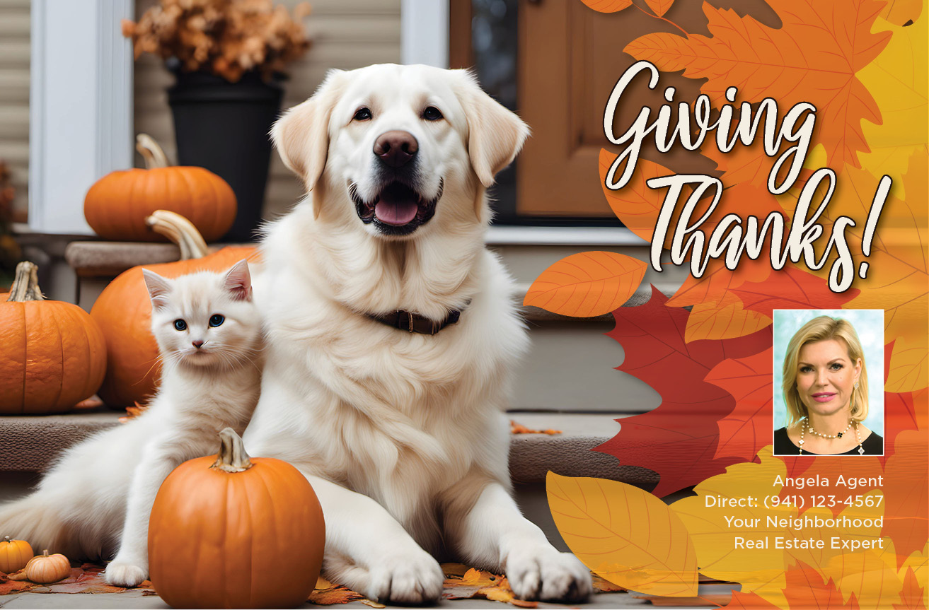 Giving Thanks-Cat & Dog