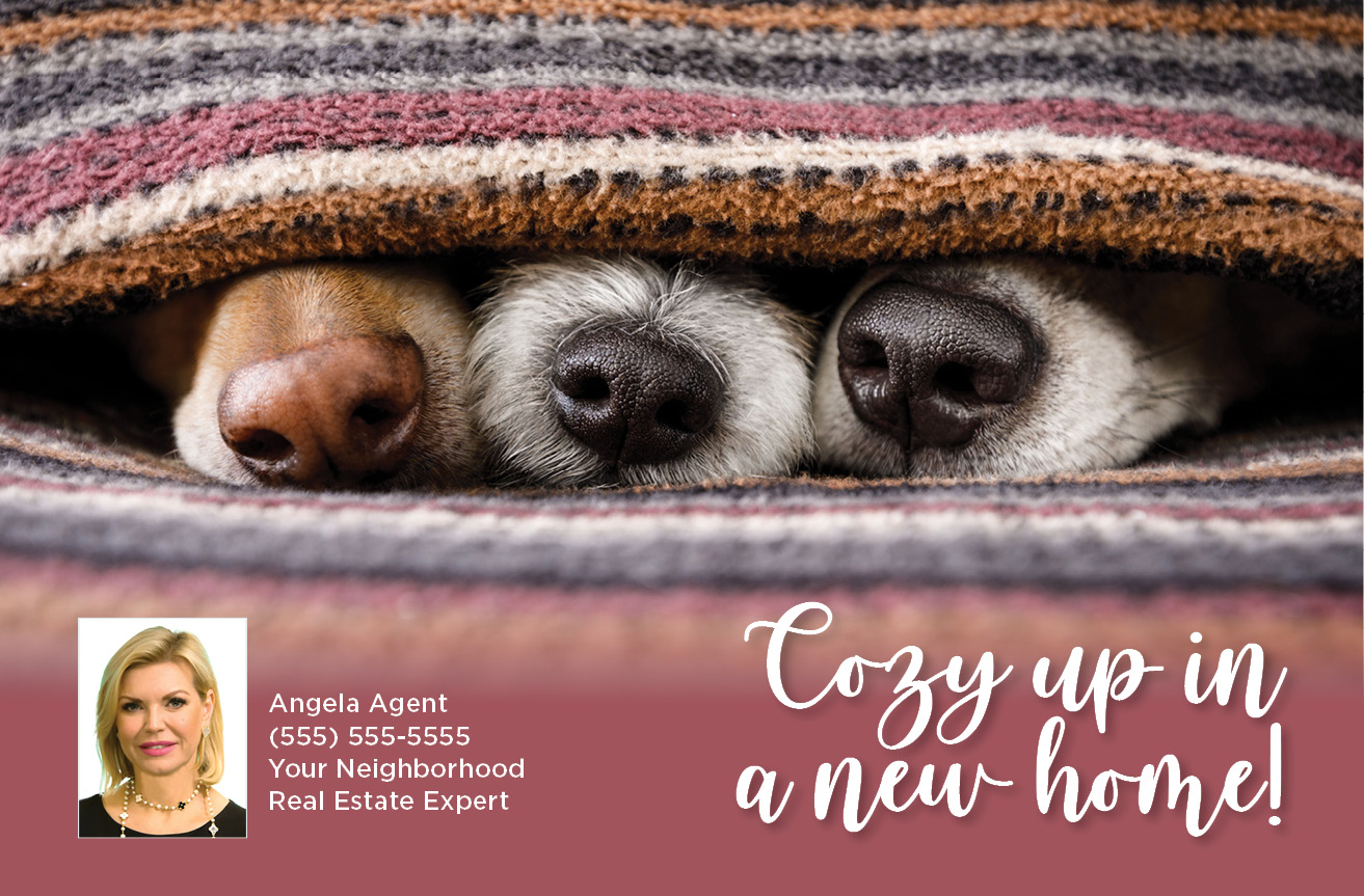 Cozy Up In A New Home (Dogs)